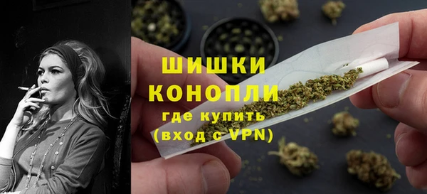 дмт Пестово