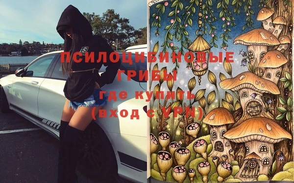 стаф Абаза