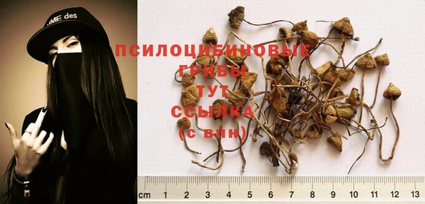 прущая мука Абдулино